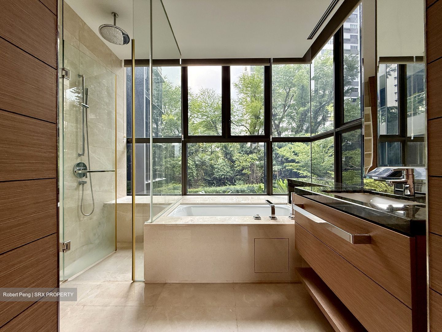 One Balmoral (D10), Condominium #548561971